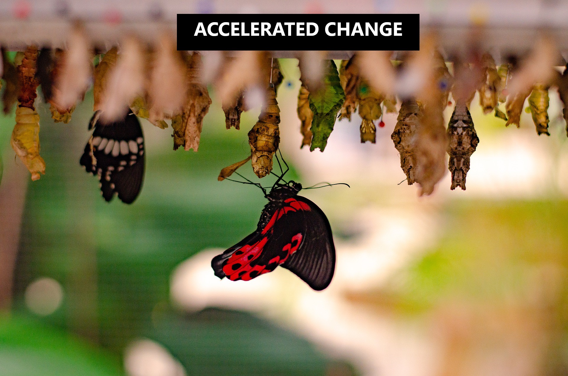 Accelerated Change