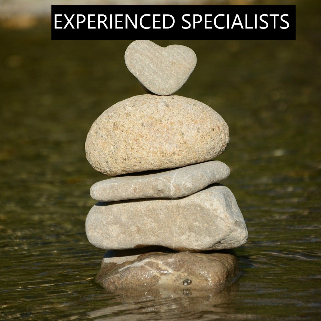 EXPERIENCED SPECIALISTS
