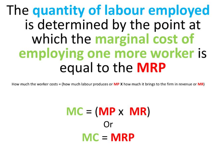 Marginal Revenue Product