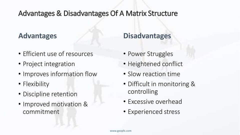 Pro & Cons of Matrix Structure