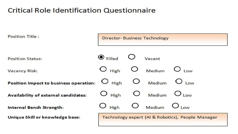 Critical role identification questionnaire