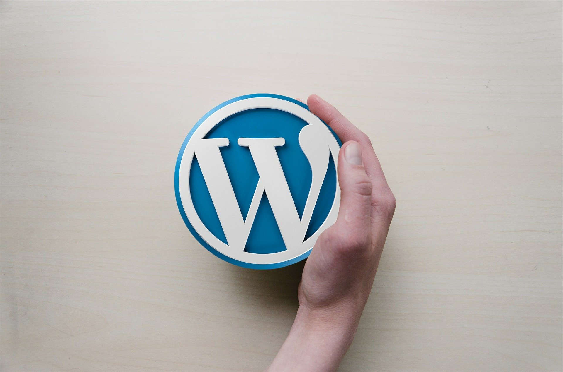 WordPress Web